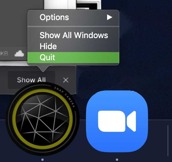 turn on camera for skype in system preferences for mac